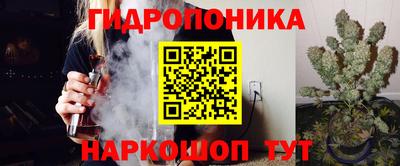 прущие грибы Ярославль
