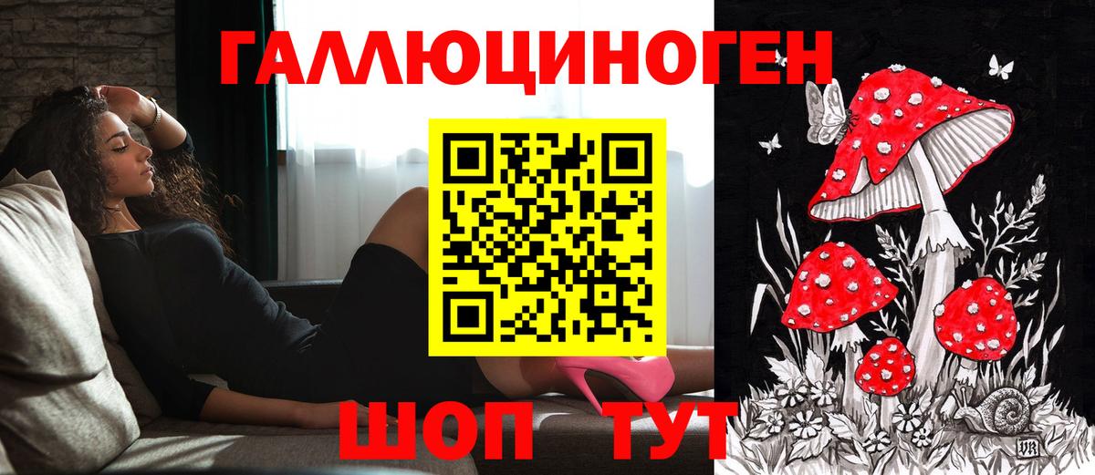 Псилоцибиновые грибы Cubensis Кызыл